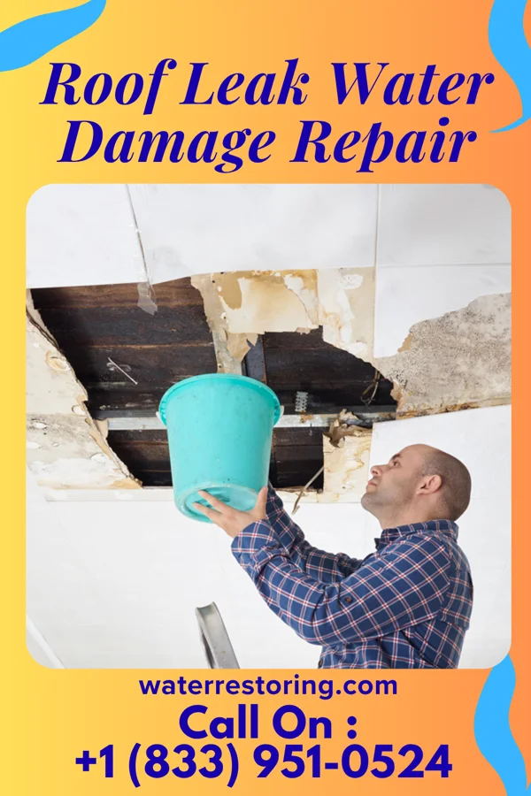 Roof Leak Water Damage Repair in San Rafael, CA